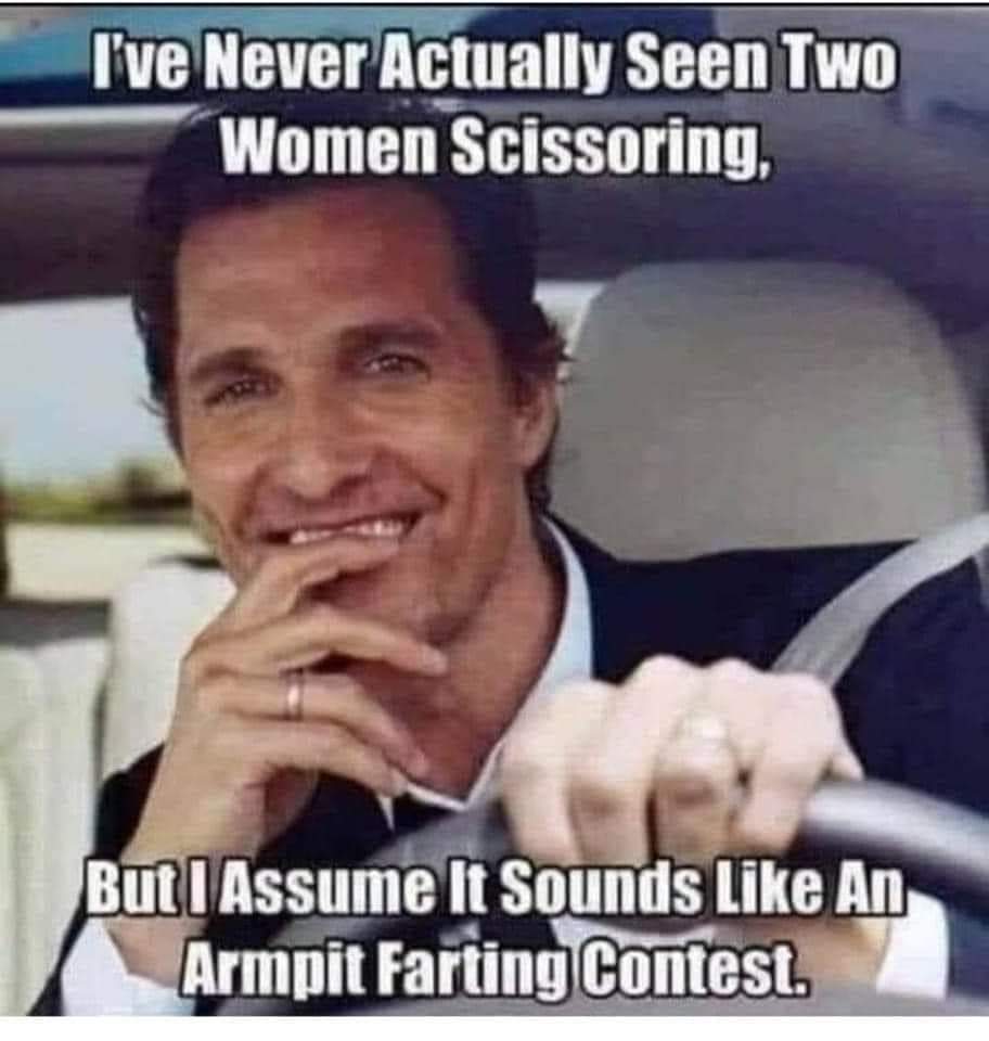 Funny meme I've never actually seen two women scissoring, but I assume it sounds like an armpit farting contest.