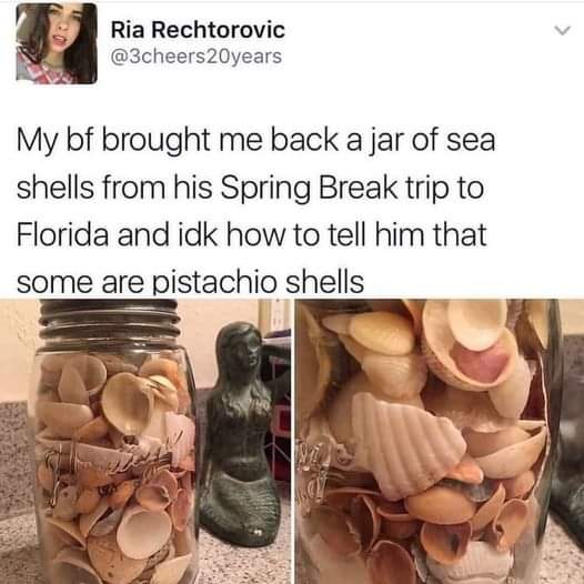 Funny meme my bf brought me back a jar of sea shells from his spring break trip to Florida and idk how to tell him that some are pistachio shells
