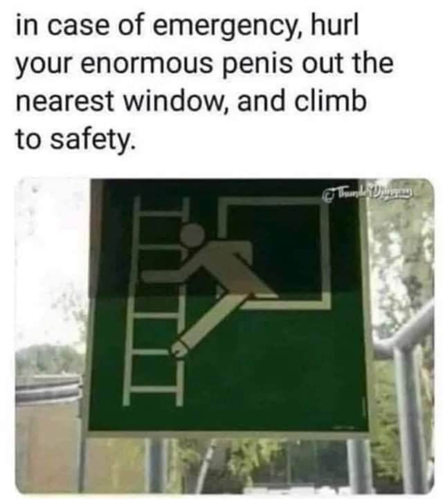 Meme In case of emergency, hurl your enormous penis out the nearest window, and climb to safety.