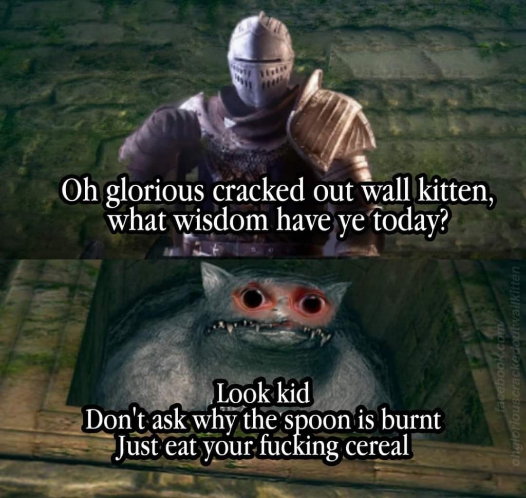 Cracked out Wall Kitten meme. "Oh glorious cracked out wall kitten, what wisdom have ye today? Look kid, don't ask why the spoon is burnt just eat your fucking cereal."