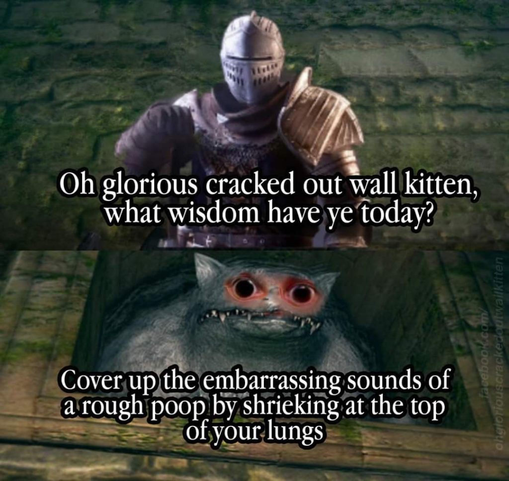 Cracked out Wall Kitten meme. Oh glorious cracked out wall kitten, what wisdom have ye today? Cover up the embarrassing sounds of a rough poop by shrieking at the top of your lungs.