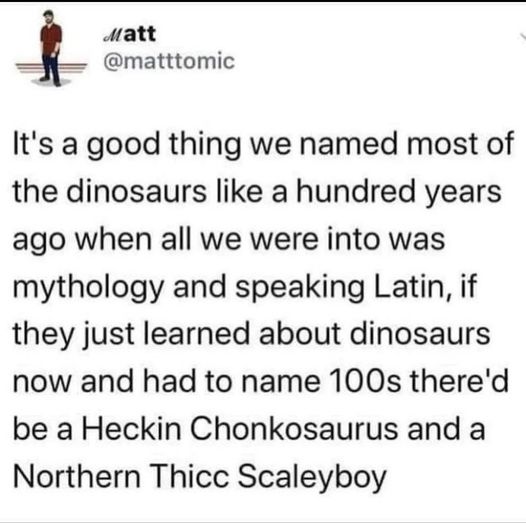 Funny meme says: It's a good thing we named most of the dinosaurs like a hundred years ago when all we were into was mythology and speaking Latin, if they just learned about dinosaurs now and had to name 100s there'd be a Heckin Chonkosaurus and a Northen Thicc Scaleyboy".