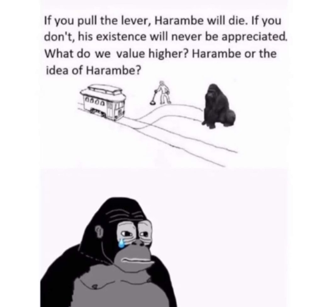 A picture of a train with two tracks. On one track, there is a gorilla named Harambe sitting. Above the image, the text reads, "If you pull the lever, Harambe will die. If you don't, his existence will never be appreciated. What do we value higher? Harambe or the idea of Harambe?"