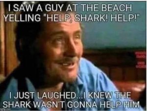 A meme featuring an image of a man standing on a beach with a speech bubble that reads "I saw a guy at the beach yelling 'Help, shark! Help!'" The text at the bottom of the image reads "Dark humor: I just laughed...I knew the shark wasn't gonna help him." Keywords: Dark humor, beach, shark, meme.