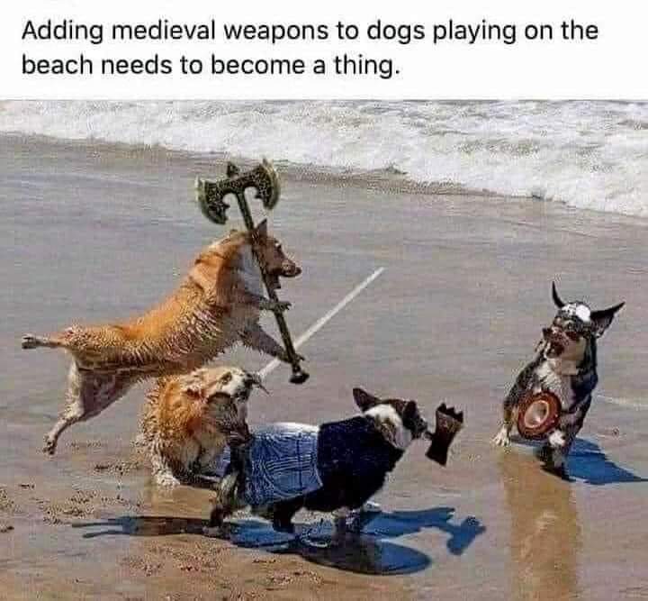 Dog meme featuring a group of dogs playing on the beach with medieval weapons and armor, with the text 'Adding medieval weapons to dogs playing on the beach needs to become a thing' superimposed on the image.