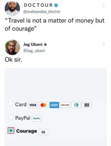 A meme showing a conversation where one person says "Travel is not a matter of money but of courage" and the other responds with "Ok sir." The bottom of the meme displays payment options including Card, PayPal, and Courage, which implies that courage is not a payment option but is necessary for travel.