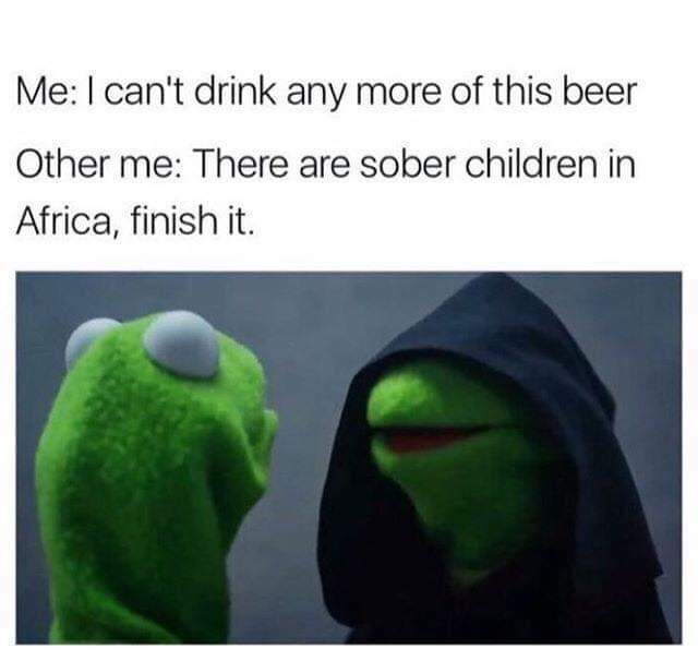 A funny meme about drinking with image of Kermit the frog and cloaked Kermit the frog says "Me: I can't drink any more of this been. Other me: There are sober children in Africa, finish it."