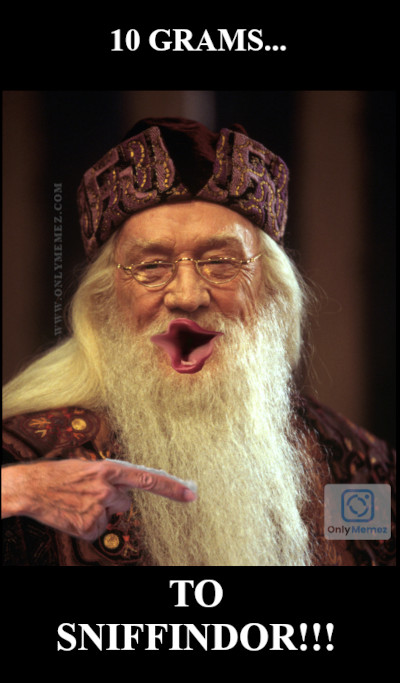 Funny Harry Potter meme. Image of Dumbledore doing a line of cocaine off his finger and shouting "Ten grams to sniffindor!".