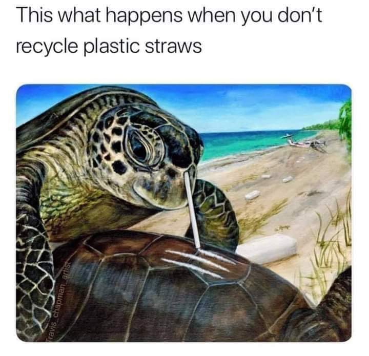 Meme depicting a turtle with a plastic straw stuck in its nose snorting cocaine off the back of another turtle, highlighting the devastating effects of plastic straw pollution on marine life