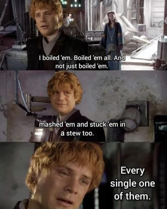 Funny Star Wars/Lord of the Rings crossover meme. Scene where Anakin is talking to Padme but Anakin's head is replaced with Sam's. It says "I boiled 'em. Boiled 'em all. And not just boiled 'em. mashed 'em and stuck 'em in a stew too. Every single one of them."