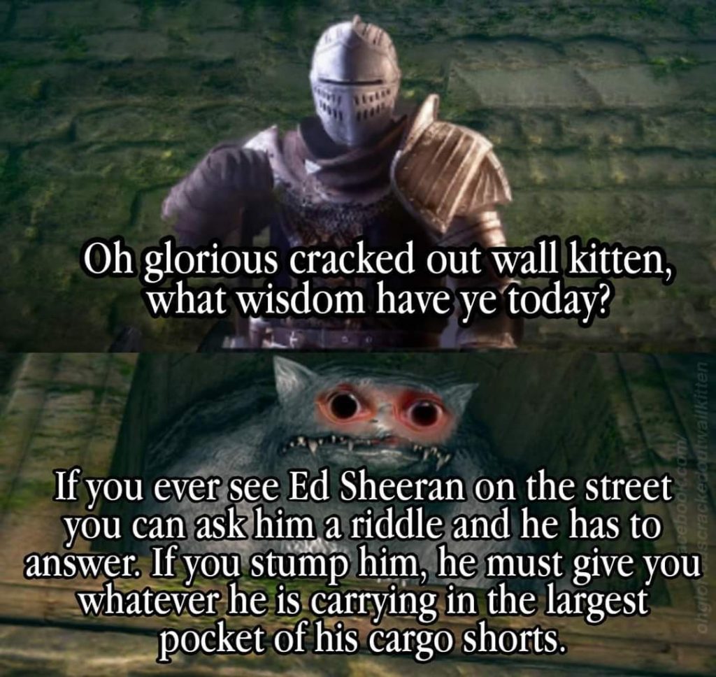 Oh Glorious Cracked Out Wall Kitten meme says "Oh glorious cracked out wall kitten, what wisdom have ye today?" "If you ever see Ed Sheeran on the street you can ask him a riddle and he has to answer. If you stump him, he must give you whatever he is carrying in the largest pocket of his cargo shorts."
