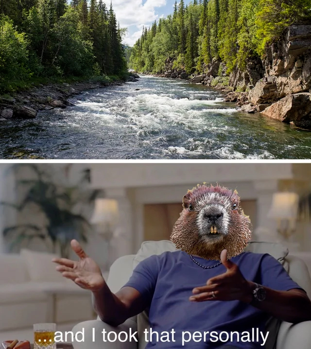 A hilarious beaver meme featuring a free flowing river and the famous 'I took that personally' expression, where the face is replaced with a beaver head. This funny meme captures the humorous reaction of the beaver, adding a touch of comedy to the scene.