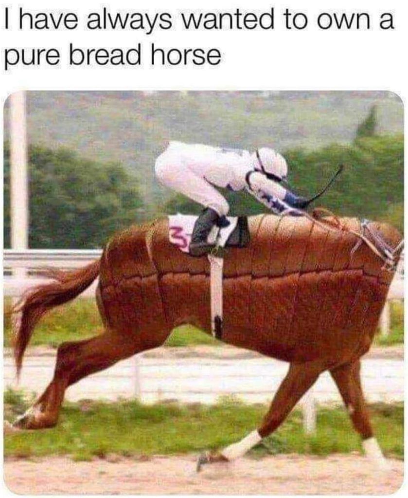Funny horse meme shows a horse that looks like a bread loaf and says "I have always wanted to own a pure bread horse."