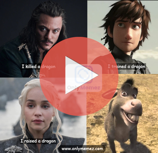 Funny Dragon meme shows Dale from the Hobbit saying "I killed a dragon" Hiccup from How to Train Your Dragon saying "I trained a dragon", Daenerys from Game of Thrones saying "I raised a dragon" and Donkey from Shrek just sitting and smiling.