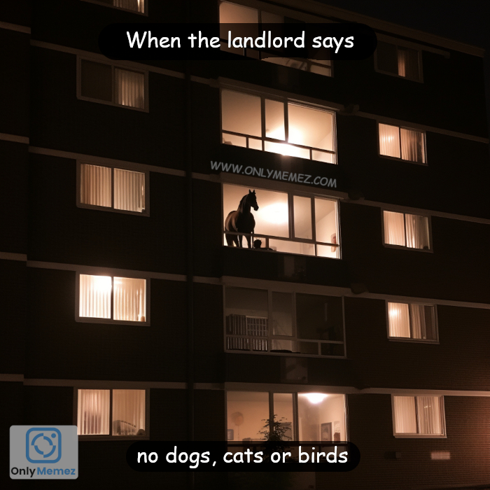 Funny renting meme shows an apartment building with a silhouette of a horse visible in one window. It says, "When the landlord doesn't let you have dogs, cats or birds."