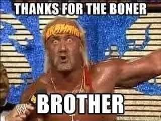 Hulk Hogan thanks for the boner meme