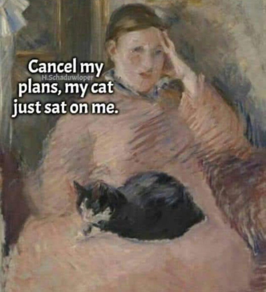 LOLcats Cat Meme of a cat sitting on owner canceling plans