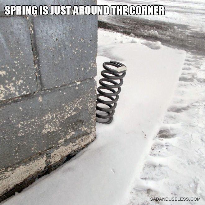 Image showing Comic Relief Spring Humor, a blend of Internet and dry humor