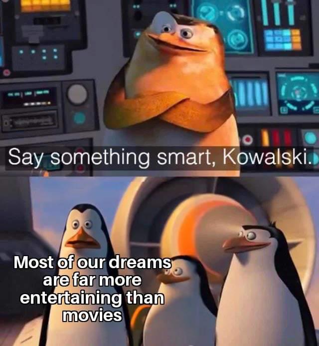 Penguins of Madagascar character Kowalski in the popular Kowalski Madagascar True Meme
